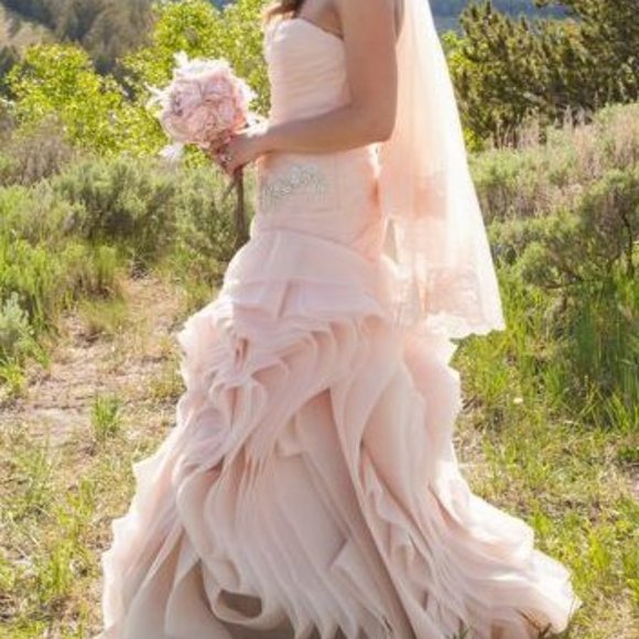 Vera Wang Blush Pink Wedding Gown Size 0 - Picture 6 of 16